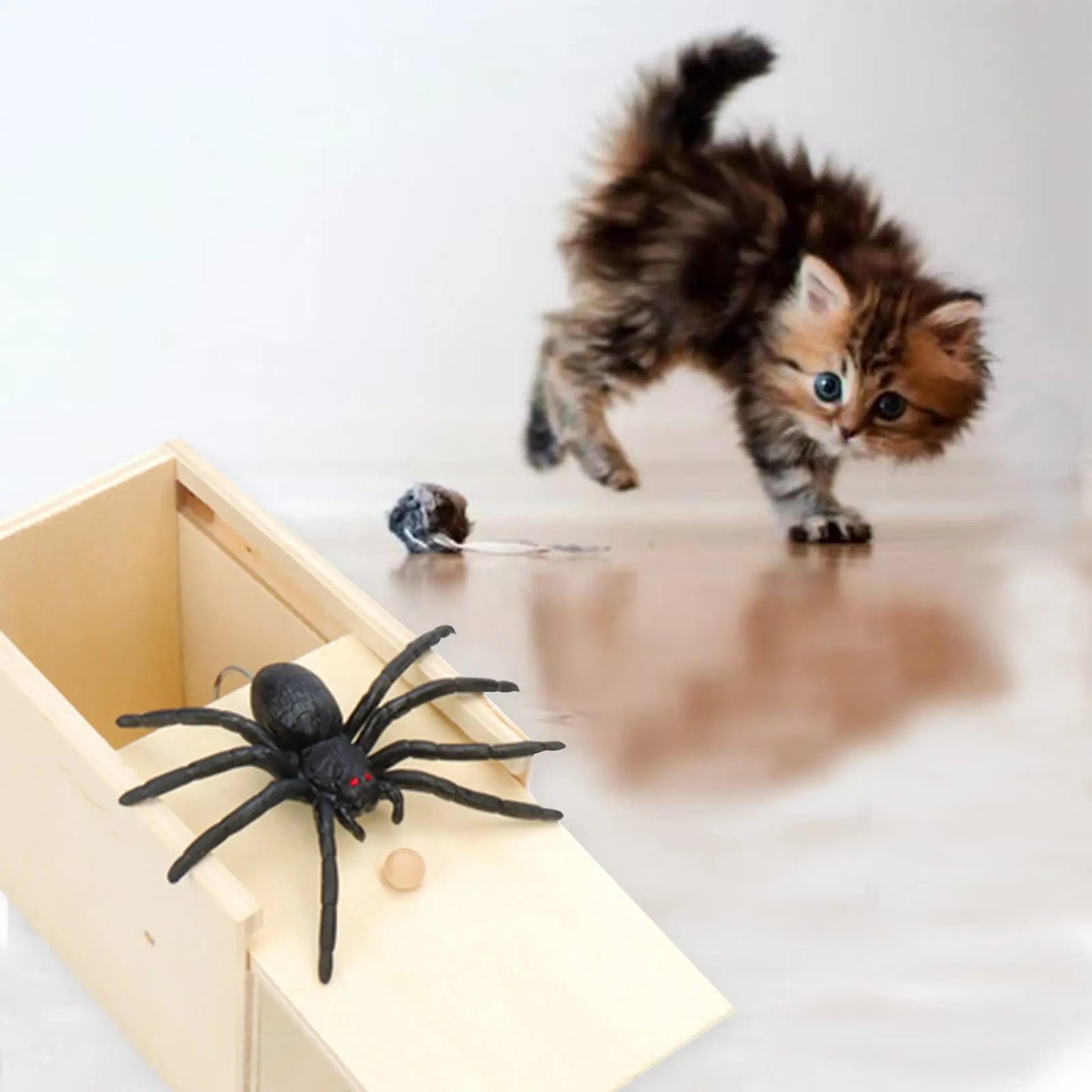 Spooky Spider Prank Box